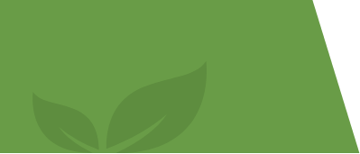 Stevia Global